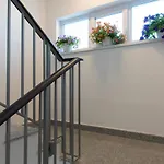 Turquoise Boutique Hotel Năvodari